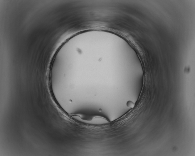 X0000098031432200804251404