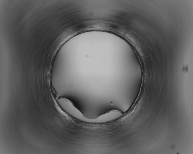 X0000098031433200804251404