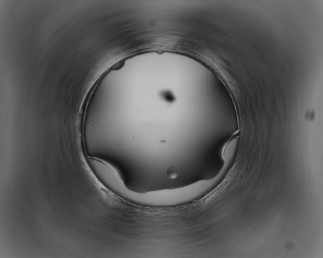 X0000098031434200804251404