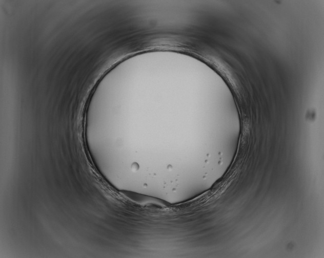 X0000098031435200804251404