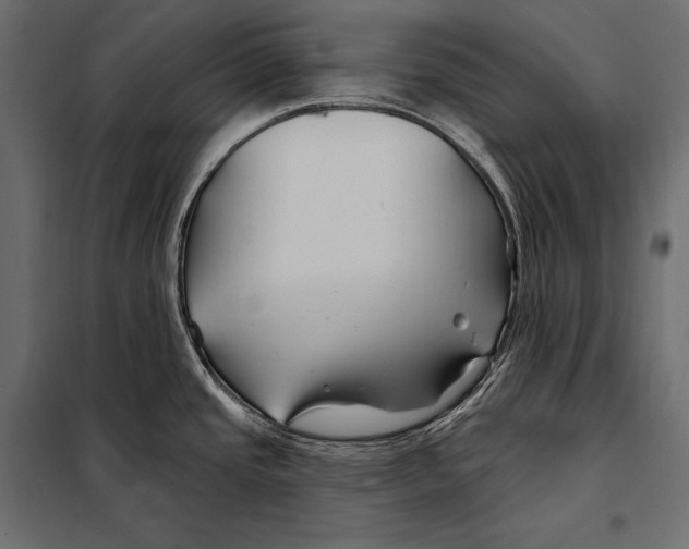 X0000098031437200804251404