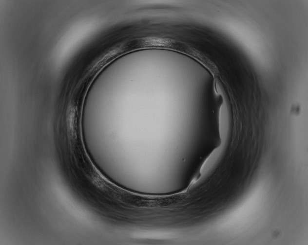 X0000098031438200804251404