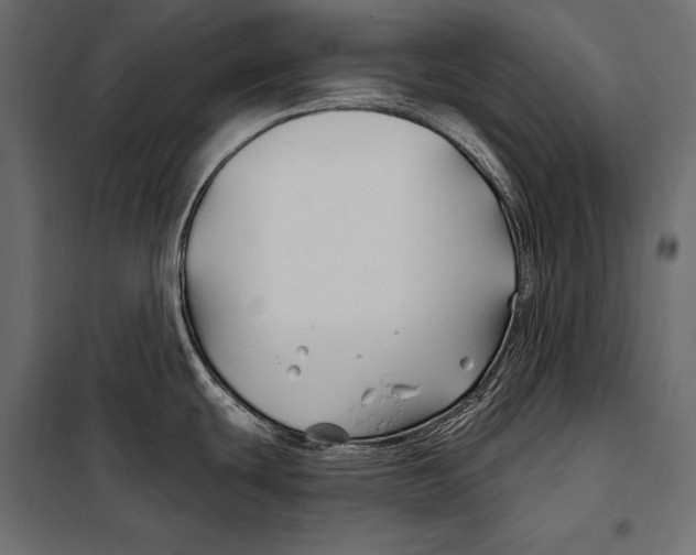 X0000098031439200804251404