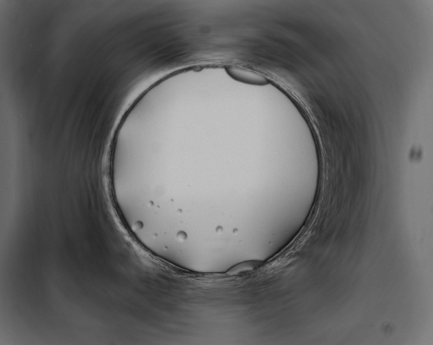 X0000098031440200804251404