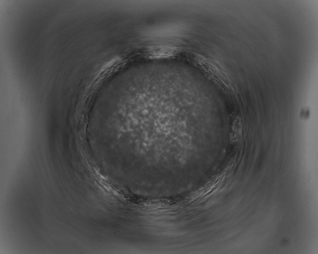 X0000098031441200804251403