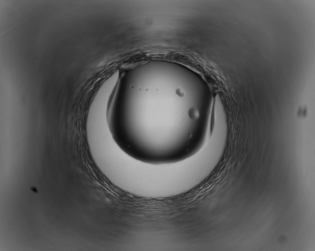 X0000098031445200804251403