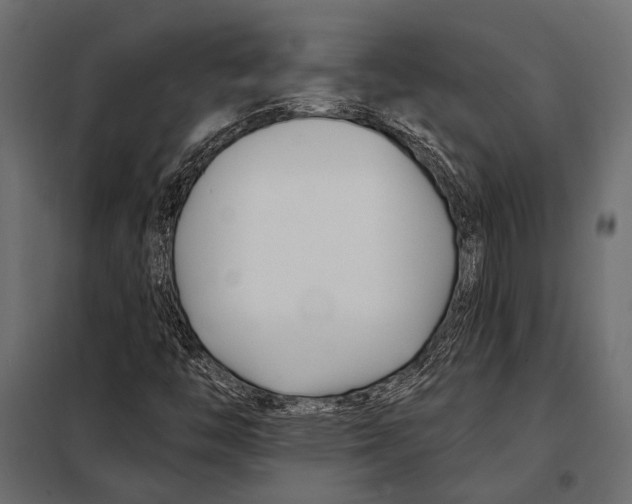 X0000098031446200804251403