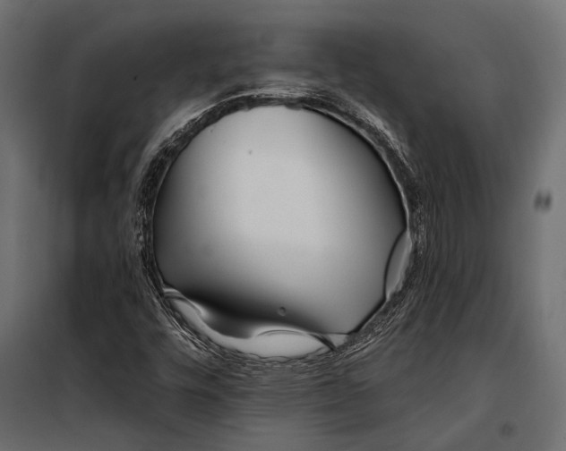 X0000098031448200804251403