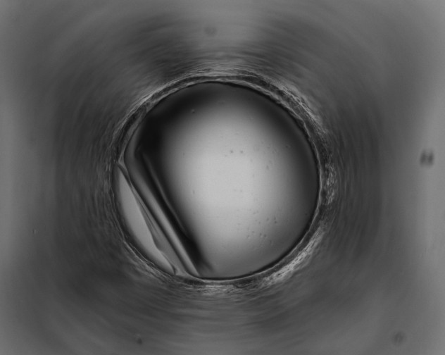 X0000098031449200804251403