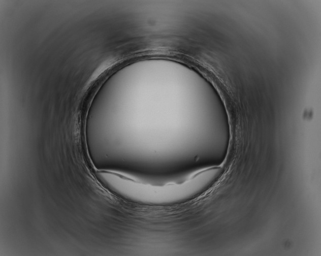 X0000098031450200804251403