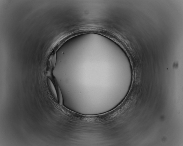 X0000098031453200804251403