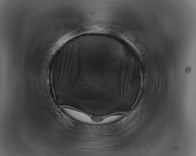 X0000098031455200804251403