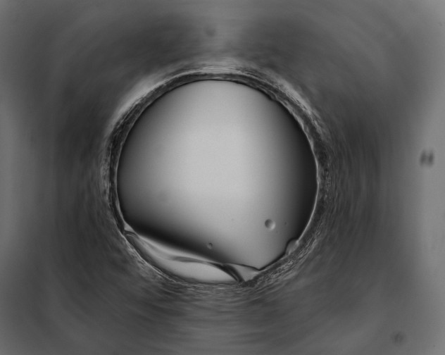 X0000098031456200804251403