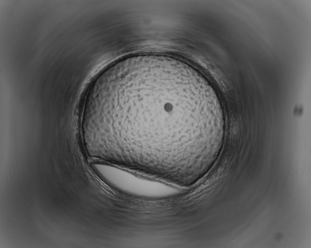 X0000098031459200804251403