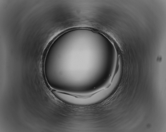 X0000098031460200804251403