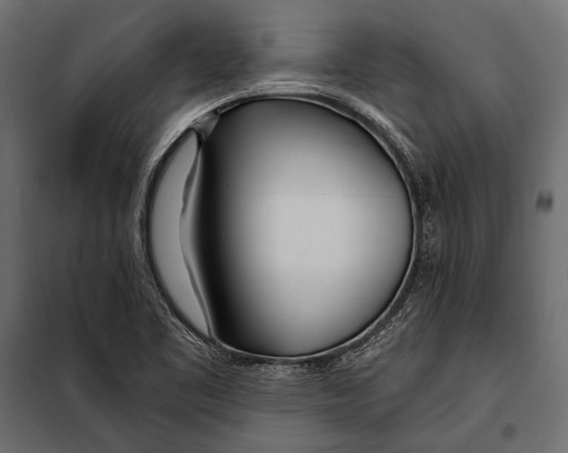 X0000098031461200804251403