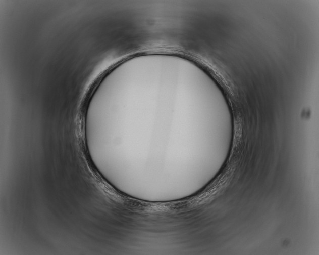 X0000098031462200804251403