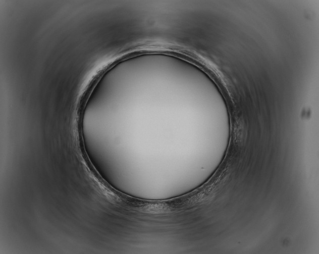 X0000098031464200804251403