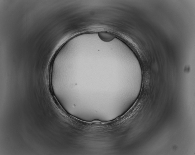 X0000098031467200804251403