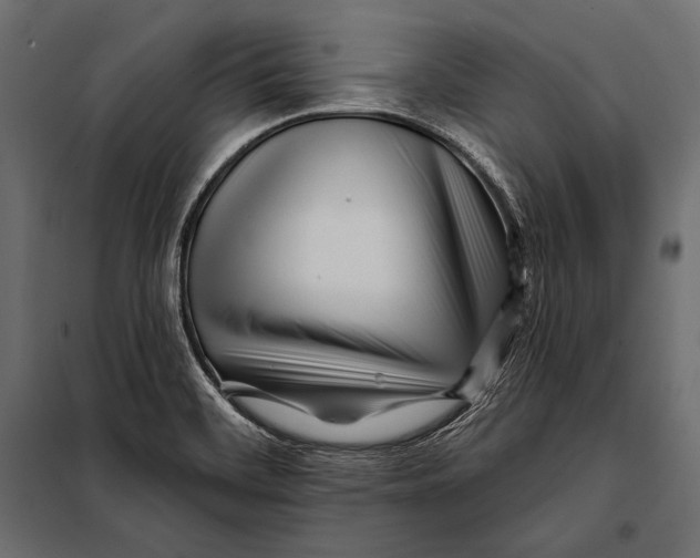 X0000098031468200804251403