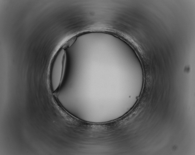 X0000098031469200804251403