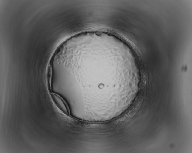 X0000098031471200804251403