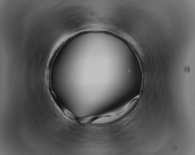 X0000098031472200804251403