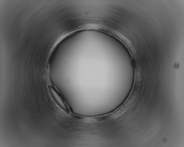 X0000098031473200804251403