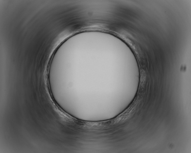 X0000098031474200804251403