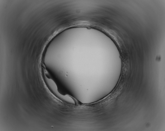 X0000098031475200804251403