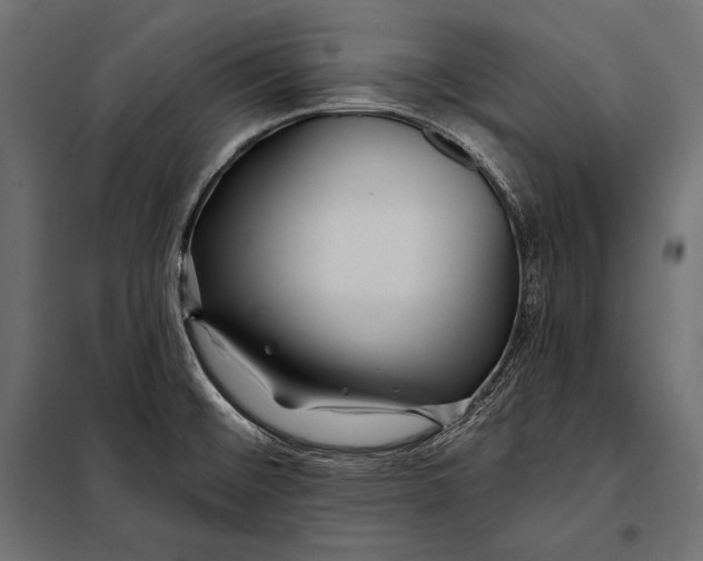 X0000098031476200804251403