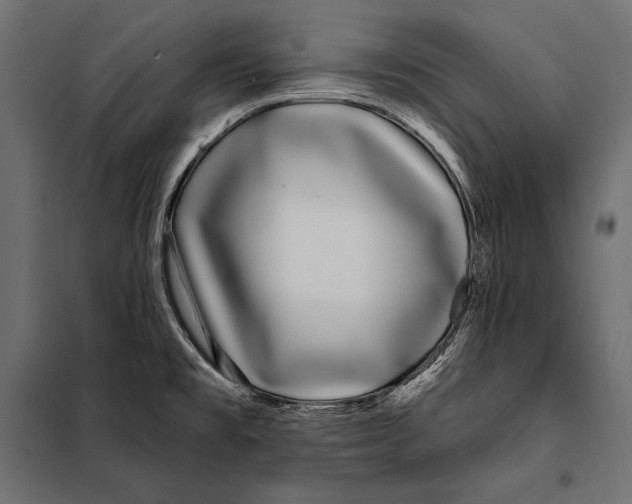 X0000098031477200804251403