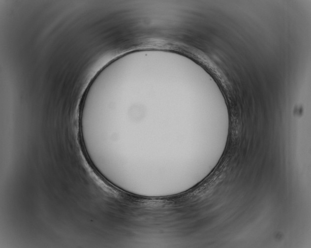 X0000098031479200804251403