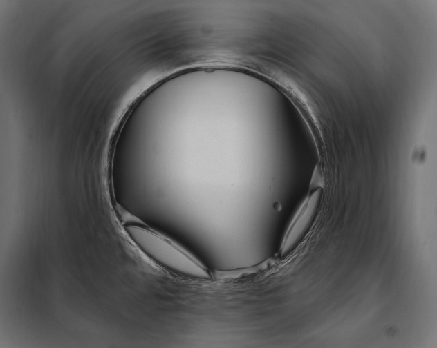 X0000098031480200804251403