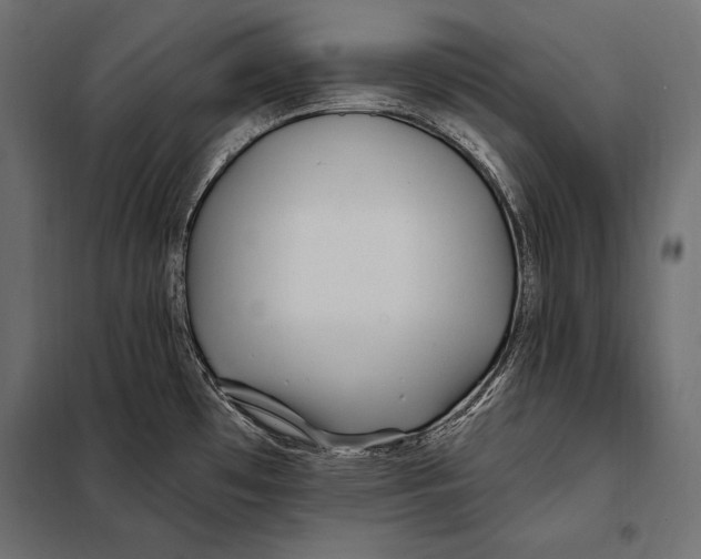 X0000098031481200804251403