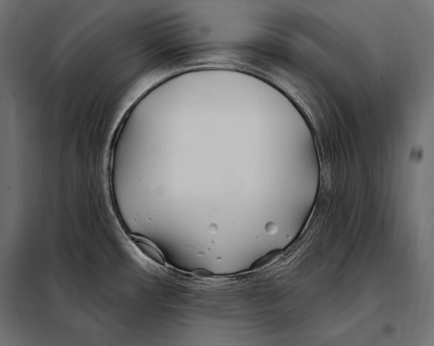 X0000098031482200804251403