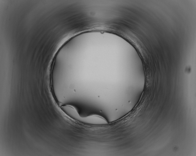 X0000098031483200804251403