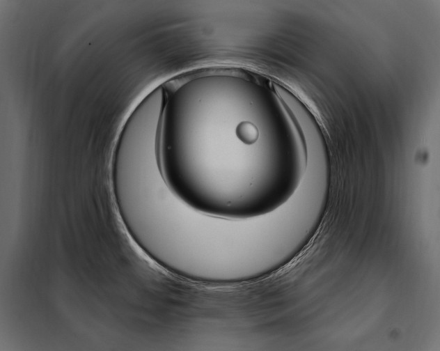 X0000098031484200804251403