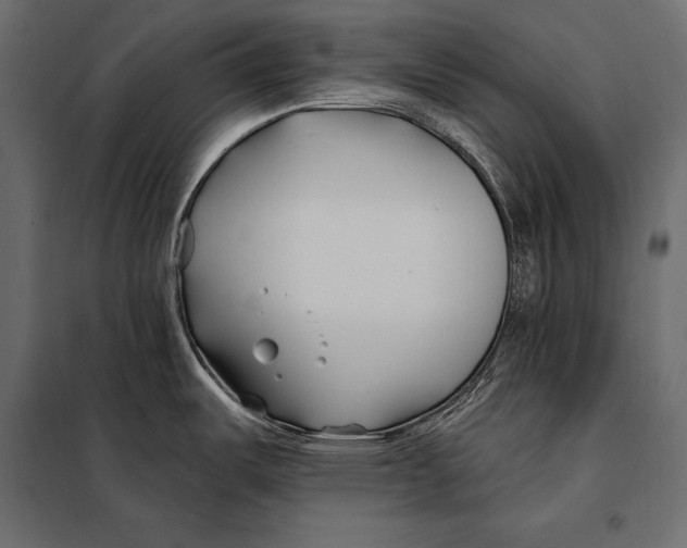 X0000098031487200804251403