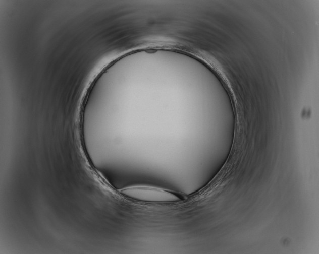 X0000098031488200804251403