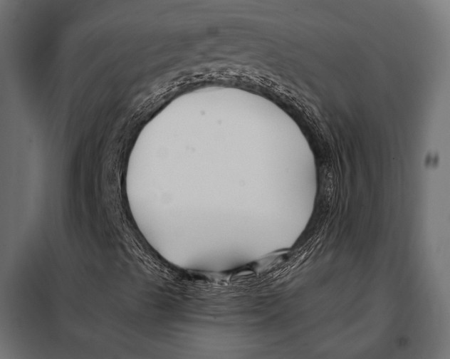 X0000098031489200804251402