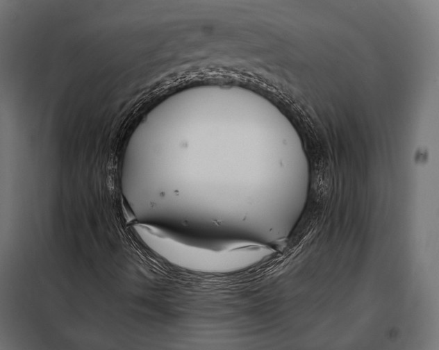 X0000098031490200804251402