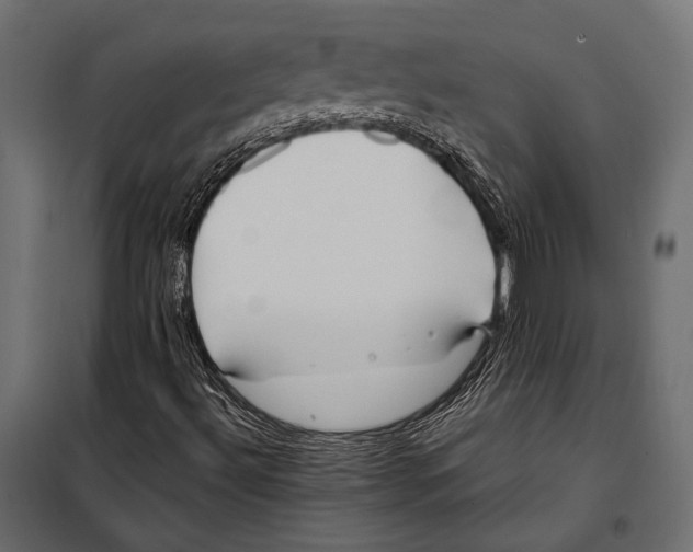 X0000098031492200804251402