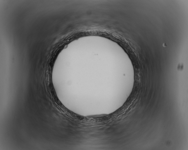 X0000098031493200804251402