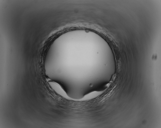 X0000098031494200804251402