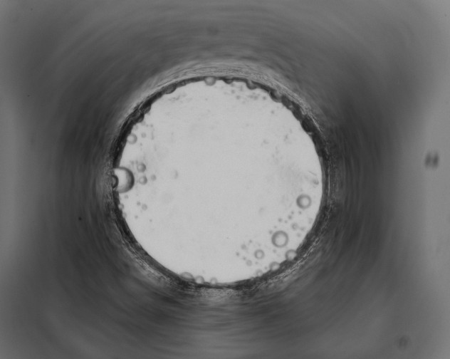 X0000098031498200804251402