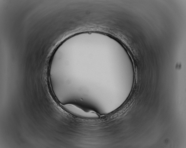 X0000098031500200804251402