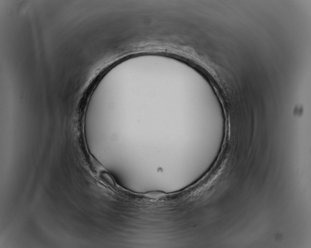 X0000098031501200804251402