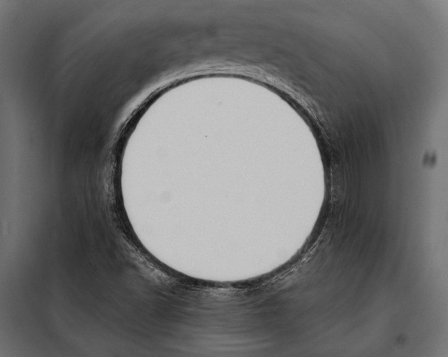 X0000098031502200804251402