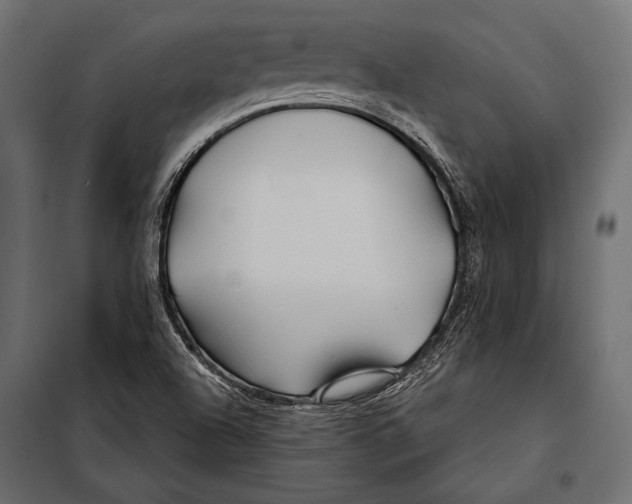 X0000098031504200804251402